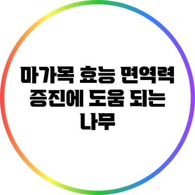 마가목 효능: 면역력 증진에 도움 되는 나무