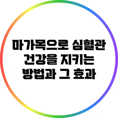 마가목으로 심혈관 건강을 지키는 방법과 그 효과