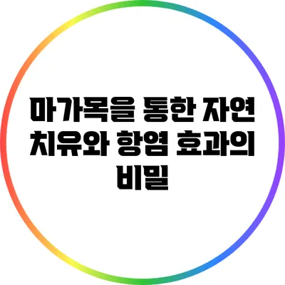 마가목을 통한 자연 치유와 항염 효과의 비밀