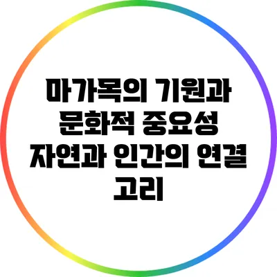 마가목의 기원과 문화적 중요성: 자연과 인간의 연결 고리