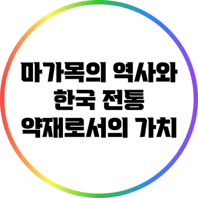 마가목의 역사와 한국 전통 약재로서의 가치