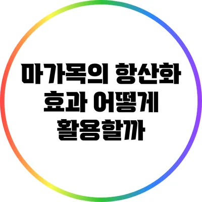 마가목의 항산화 효과: 어떻게 활용할까?