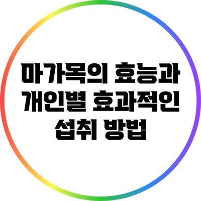 마가목의 효능과 개인별 효과적인 섭취 방법