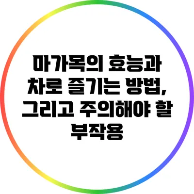 마가목의 효능과 차로 즐기는 방법, 그리고 주의해야 할 부작용