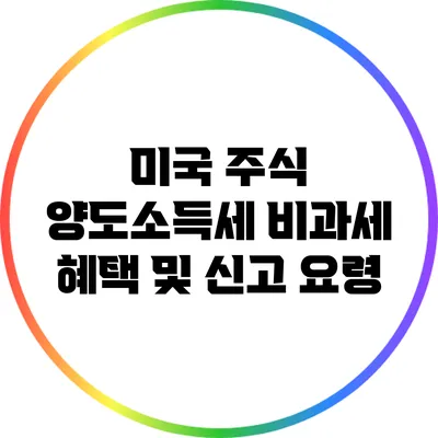 미국 주식 양도소득세 비과세 혜택 및 신고 요령