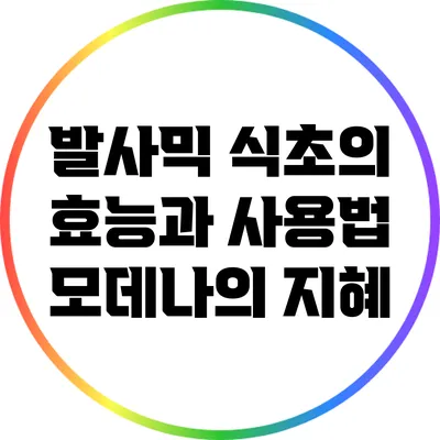 발사믹 식초의 효능과 사용법: 모데나의 지혜