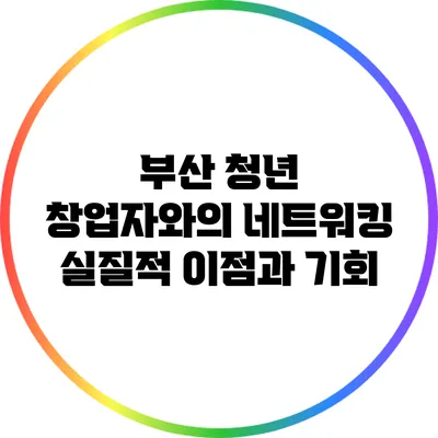 부산 청년 창업자와의 네트워킹: 실질적 이점과 기회