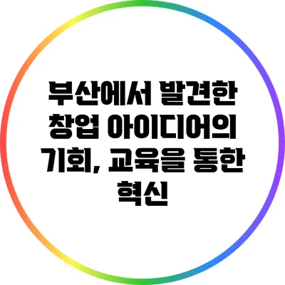 부산에서 발견한 창업 아이디어의 기회, 교육을 통한 혁신