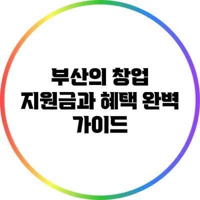 부산의 창업 지원금과 혜택 완벽 가이드