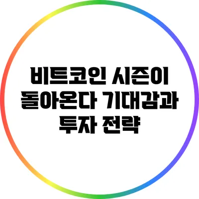 비트코인 시즌이 돌아온다: 기대감과 투자 전략