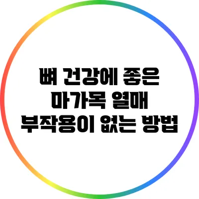 뼈 건강에 좋은 마가목 열매: 부작용이 없는 방법