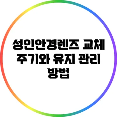 성인안경렌즈 교체 주기와 유지 관리 방법