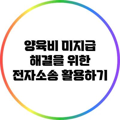 양육비 미지급 해결을 위한 전자소송 활용하기