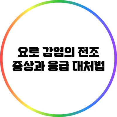 요로 감염의 전조 증상과 응급 대처법