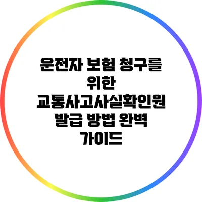 운전자 보험 청구를 위한 교통사고사실확인원 발급 방법 완벽 가이드