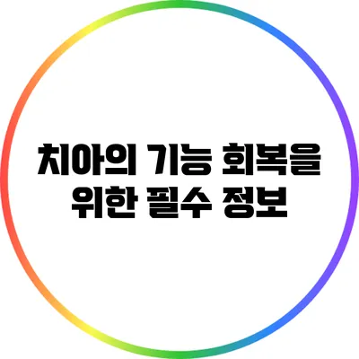 치아의 기능 회복을 위한 필수 정보