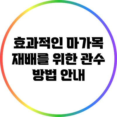 효과적인 마가목 재배를 위한 관수 방법 안내