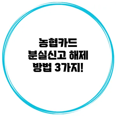 농협카드 분실신고 해제 방법 3가지!