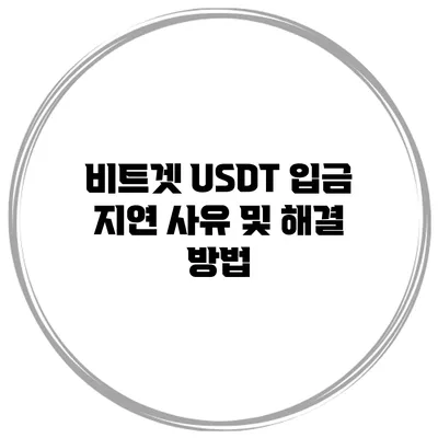 비트겟 USDT 입금 지연 사유 및 해결 방법