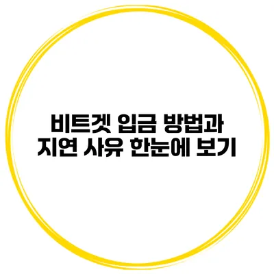 비트겟 입금 방법과 지연 사유 한눈에 보기