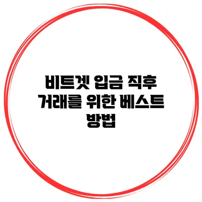 비트겟 입금 직후 거래를 위한 베스트 방법
