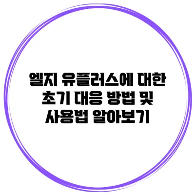 엘지 유플러스에 대한 초기 대응 방법 및 사용법 알아보기