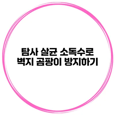 탐사 살균 소독수로 벽지 곰팡이 방지하기