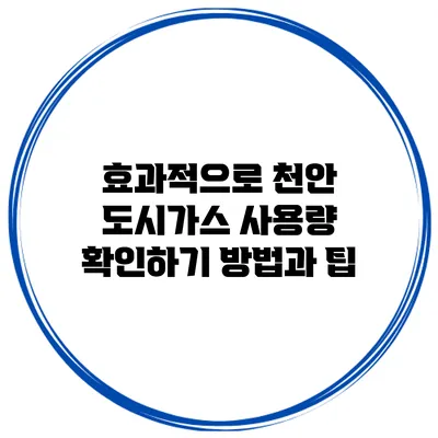 효과적으로 천안 도시가스 사용량 확인하기: 방법과 팁