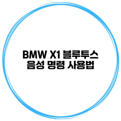 BMW X1 블루투스 음성 명령 사용법