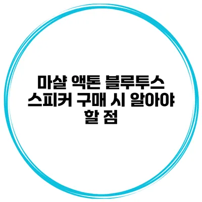마샬 액톤 블루투스 스피커 구매 시 알아야 할 점