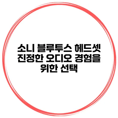 소니 블루투스 헤드셋 진정한 오디오 경험을 위한 선택